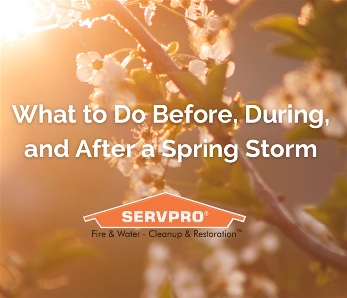 spring flowers background with SERVPRO logo overview 