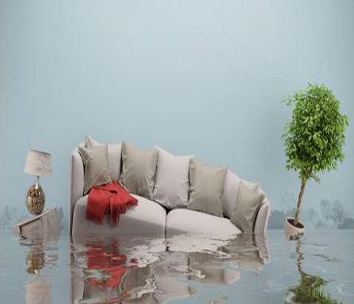 Couch, lamp and plant floating in room filled with water