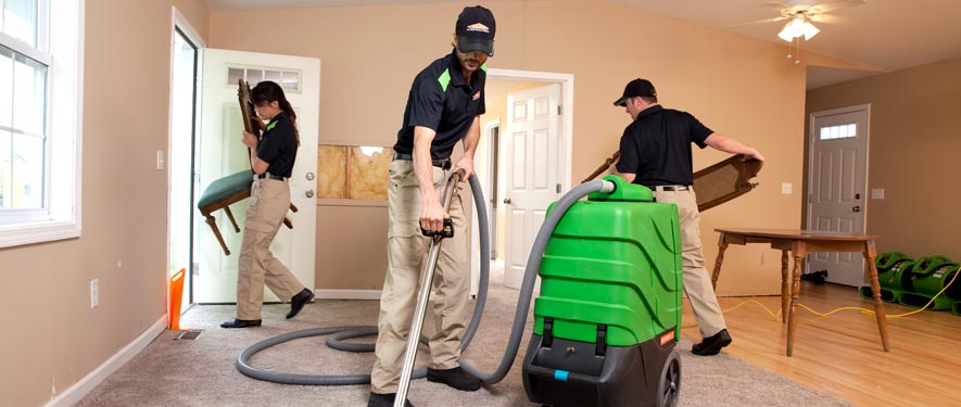 Newton, MA cleaning services